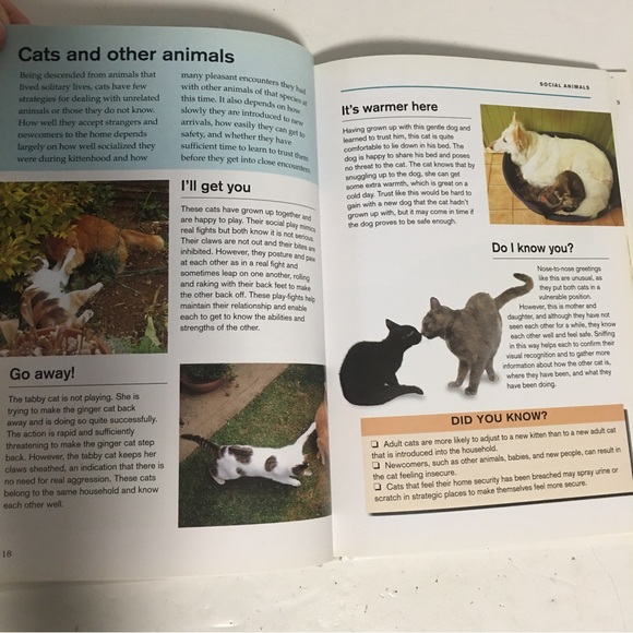 BOOK What is my cat thinking? Essential guide to animal behavior Gwen Ba… - Picture 8 of 11